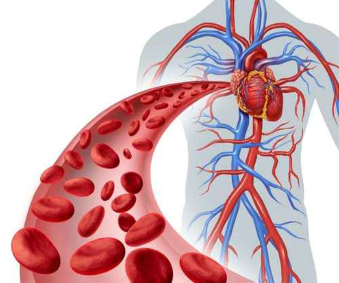 Portada HEMODINAMIA